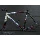 frame and fork CANYON ROAD RACE aluminium TDF swiss made