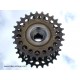 Regina Oro freewheel 6 speed 14-27 Italy 78 vintage