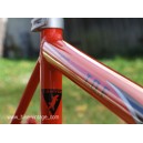 frame and fork CANYON ROAD RACE aluminium TDF swiss made